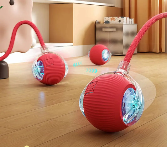 Lovely Rolling Ball Toy